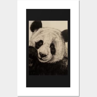 Giant Panda Posters and Art